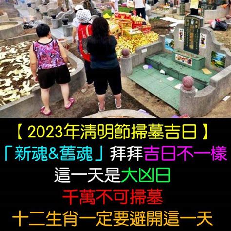 2023 掃墓吉日|2023年清明節掃墓吉日曝！專家：這時間「最佳」 